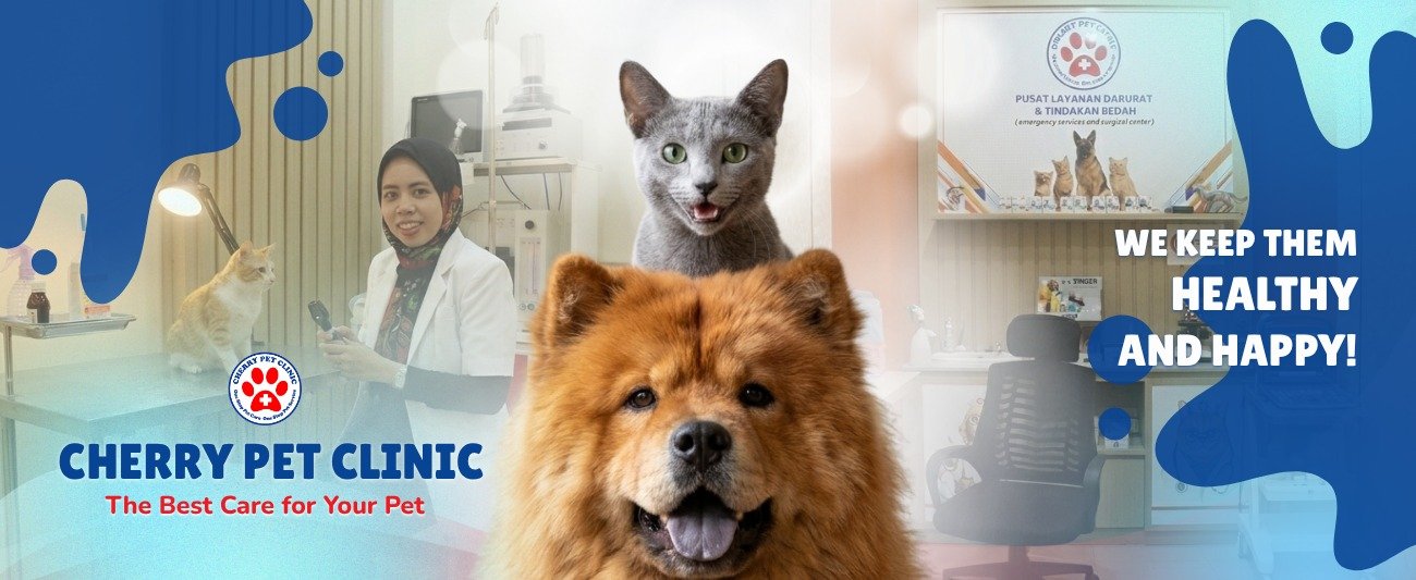 Mengapa Cherry Pet Shop Rinjani Jadi Pilihan Utama Pemilik Hewan Peliharaan di Cilacap